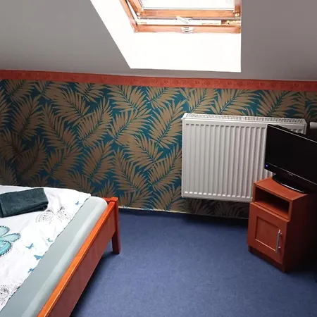 Castle Wellness Bed & Breakfast Nyíregyháza