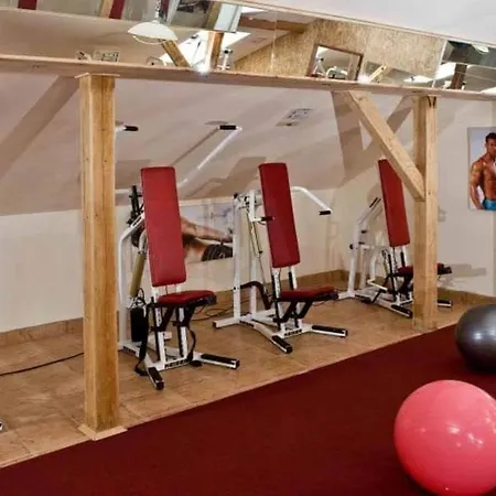 Castle Wellness 4*