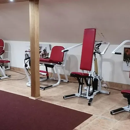 Castle Wellness *