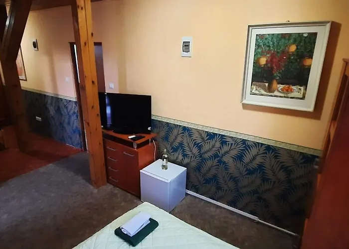 Castle Wellness 4* Nyiregyhaza